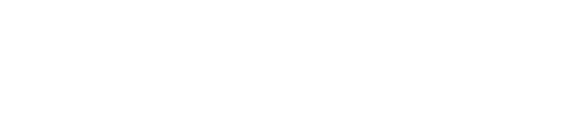 OptimalSols